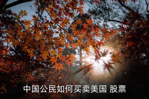 中國(guó)公民如何買(mǎi)賣(mài)美國(guó) 股票