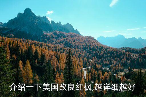 介紹一下美國改良紅楓,越詳細越好