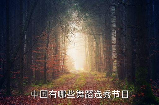 2011年第一季中國好聲音廣告招標(biāo)