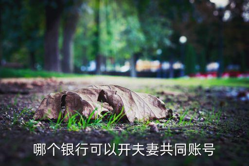 哪個(gè)銀行可以開夫妻共同賬號