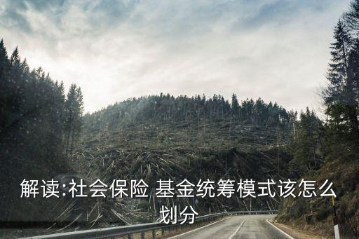 解讀:社會保險 基金統籌模式該怎么劃分