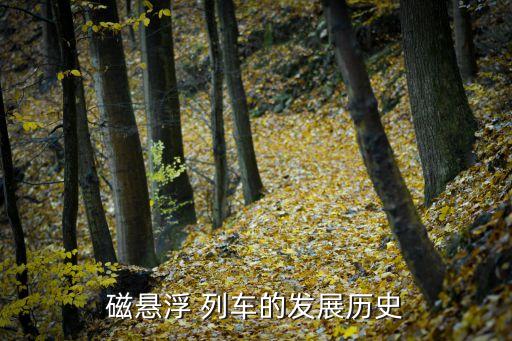 上?？罩辛熊嚰夹g(shù),上海懸掛式空中列車