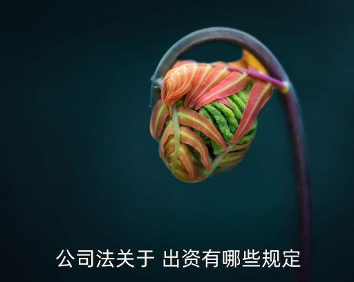  公司法關于 出資有哪些規(guī)定