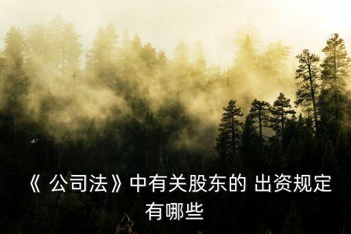 《 公司法》中有關股東的 出資規(guī)定有哪些