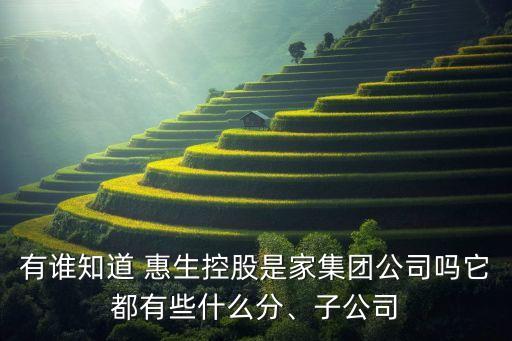 有誰知道 惠生控股是家集團(tuán)公司嗎它都有些什么分、子公司