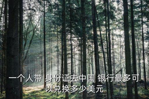 一個(gè)人帶 身份證去中國 銀行最多可以兌換多少美元