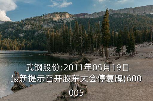  武鋼股份:2011年05月19日最新提示召開(kāi)股東大會(huì)停復(fù)牌(600005