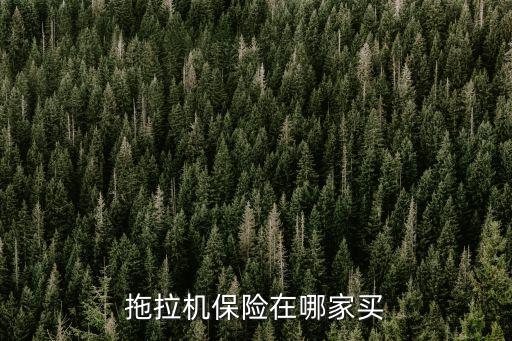 拖拉機(jī)保險在哪家買