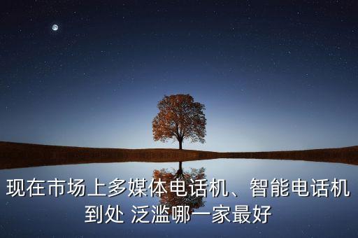 現(xiàn)在市場上多媒體電話機(jī)、智能電話機(jī)到處 泛濫哪一家最好