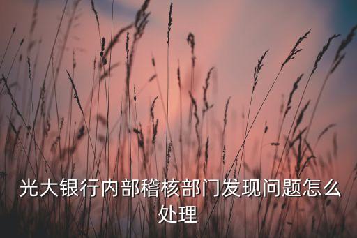  光大銀行內(nèi)部稽核部門發(fā)現(xiàn)問(wèn)題怎么處理