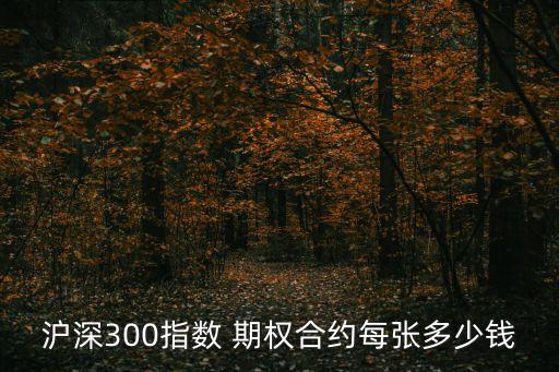 中國(guó)金融期權(quán)網(wǎng),世界著名的金融期權(quán)交易所