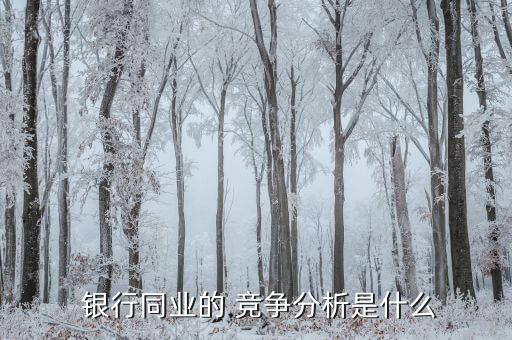 銀行的競爭對手,銀行競爭對手服務(wù)體驗報告