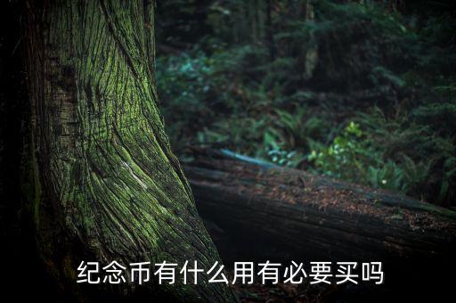  紀(jì)念幣有什么用有必要買(mǎi)嗎