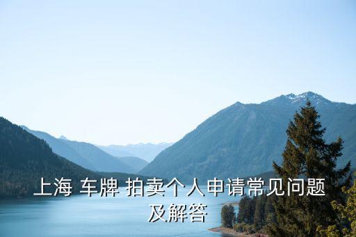 上海車(chē)牌拍賣(mài)查詢(xún)系統(tǒng)