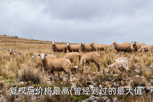 復權后價格最高(曾經到過的最大值