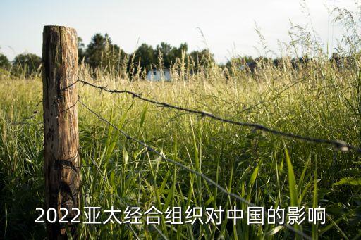 2022亞太經合組織對中國的影響
