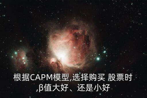 根據(jù)CAPM模型,選擇購(gòu)買 股票時(shí),β值大好、還是小好