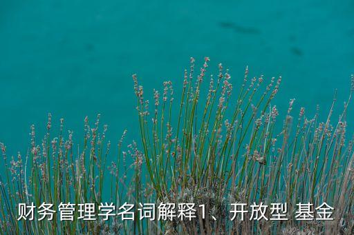 財務管理學名詞解釋1、開放型 基金