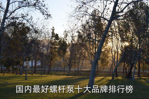 國內最好螺桿泵十大品牌排行榜