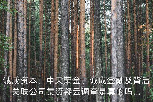 誠成資本、中天榮金、誠成金融及背后關(guān)聯(lián)公司集資疑云調(diào)查是真的嗎...