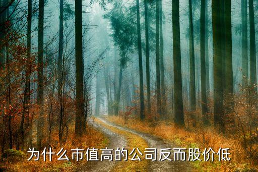 股票價(jià)格低,為什么市場(chǎng)利率高股票價(jià)格低