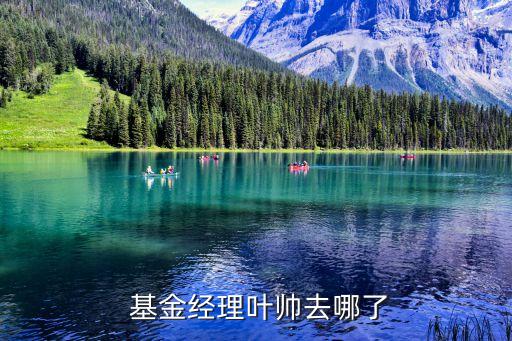 基金經理葉帥去哪了