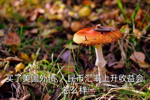 買了美國(guó)外債,人民幣匯率上升收益會(huì)怎么樣