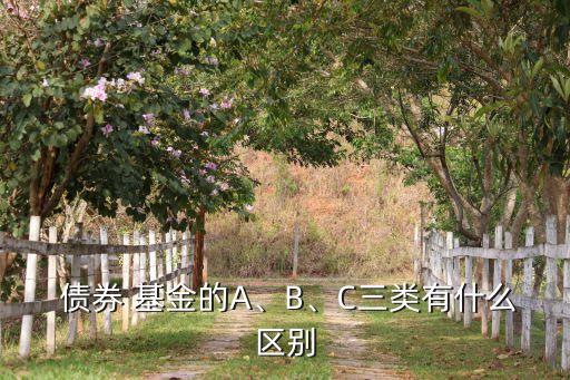  債券 基金的A、B、C三類(lèi)有什么區(qū)別