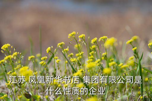 江蘇 鳳凰新華書(shū)店 集團(tuán)有限公司是什么性質(zhì)的企業(yè)