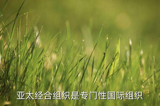 亞太經合組織是專門性國際組織