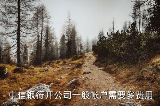  中信銀行開(kāi)公司一般帳戶需要多費(fèi)用