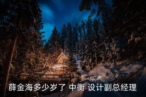 薛金海多少歲了 中衡 設計副總經理