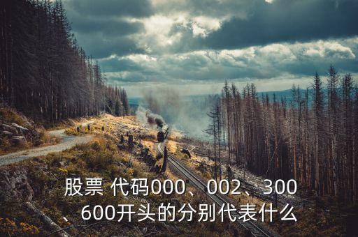  股票 代碼000、002、300、600開頭的分別代表什么