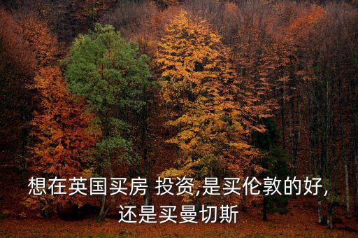 想在英國(guó)買(mǎi)房 投資,是買(mǎi)倫敦的好,還是買(mǎi)曼切斯