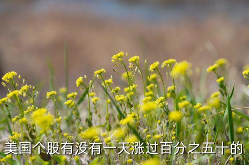 美國(guó)個(gè)股有沒有一天漲過(guò)百分之五十的