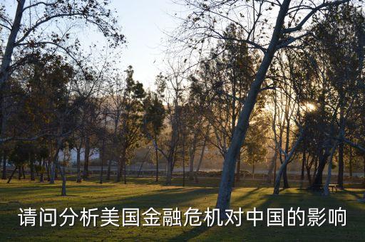 請(qǐng)問分析美國(guó)金融危機(jī)對(duì)中國(guó)的影響