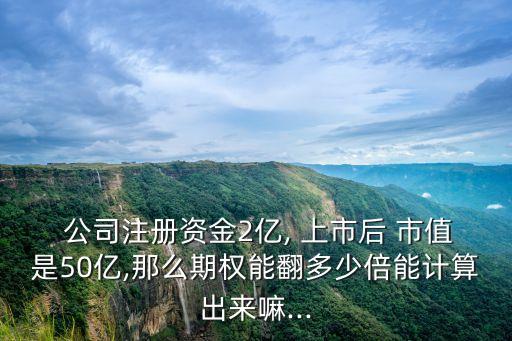  公司注冊資金2億, 上市后 市值是50億,那么期權(quán)能翻多少倍能計(jì)算出來嘛...