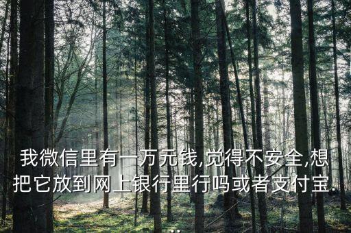 我微信里有一萬(wàn)元錢,覺(jué)得不安全,想把它放到網(wǎng)上銀行里行嗎或者支付寶...