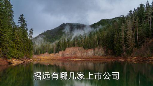招遠有哪幾家上市公司