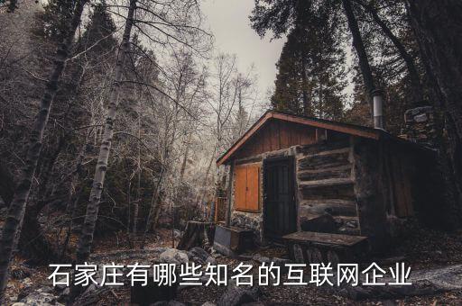 石家莊有哪些知名的互聯網企業(yè)