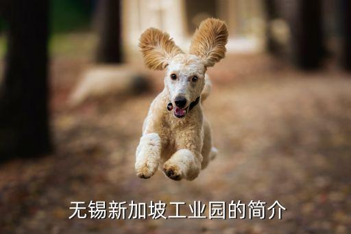 無(wú)錫星洲工業(yè)園區(qū)開發(fā)股份有限公司注冊(cè)資金,中白工業(yè)園區(qū)開發(fā)股份有限公司