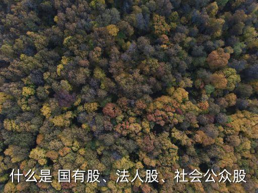 什么是 國有股、法人股、社會公眾股