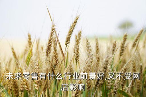 未來(lái)零售有什么行業(yè)前景好,又不受網(wǎng)店影響
