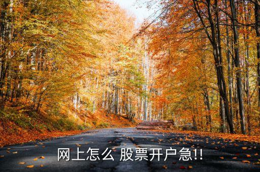 網(wǎng)上怎么 股票開(kāi)戶急!!