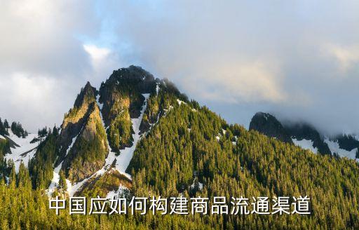 中國應如何構建商品流通渠道