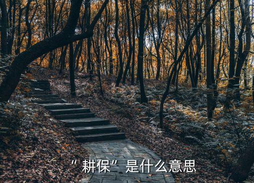 “ 耕?！笔鞘裁匆馑? class=