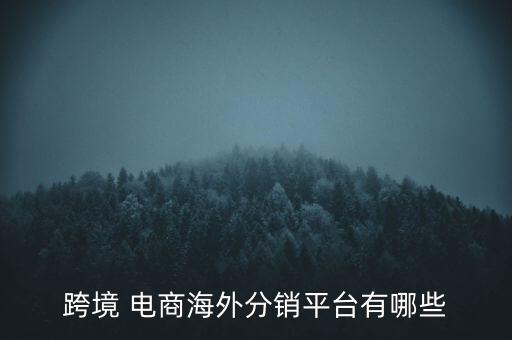 跨境 電商海外分銷(xiāo)平臺(tái)有哪些