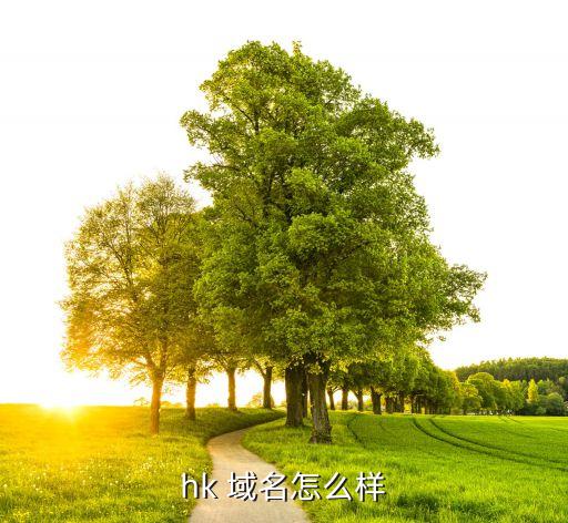 上市金融公司30萬(wàn)買域名,上市的互聯(lián)網(wǎng)金融公司有哪些