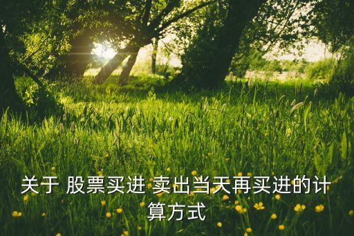 關于 股票買進 賣出當天再買進的計算方式