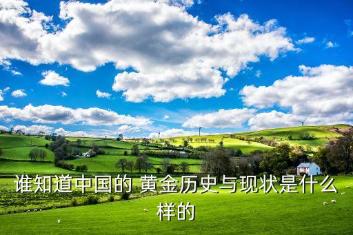 中國黃金數量,中國十大黃金排名
